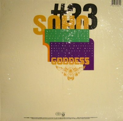 画像2: SOHO / GODDESS (LP)