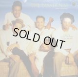 THE PASADENAS / YOURS SINCERELY (LP)