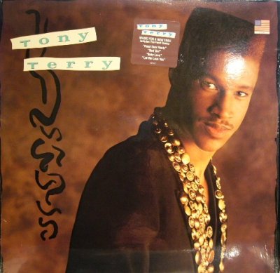 画像1: TONY TERRY / S.T. (LP)