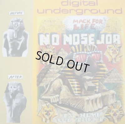 画像1: DIGITAL UNDERGROUND / NO NOSE JOB  (¥1000)