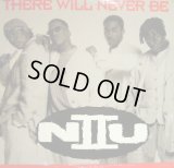 N II U / THERE WILL NEVER BE