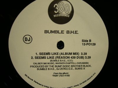 画像2: BUMBLE B.H.E. / PAIN (PROMO)