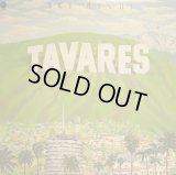 TAVARES / SKY-HIGH!
