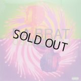 DA BRAT / FUNKDAFIED   (¥500)