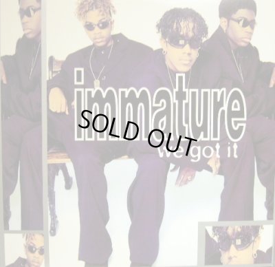 画像1: IMMATURE / WE GOT IT  (LP)