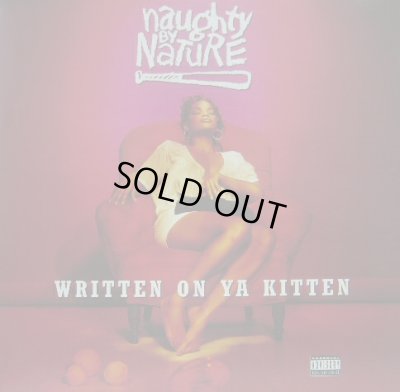 画像1: NAUGHTY BY NATURE / WRITTEN ON YA KITTEN  (¥1000)