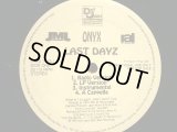 ONYX / LAST DAYZ  (US-PROMO)