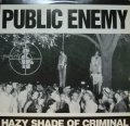 PUBLIC ENEMY / HAZY SHADE OF CRIMINAL  (¥1000)