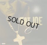 FAT JOE / ENVY   (¥500)