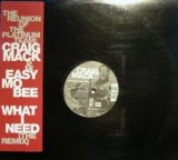 CRAIG MACK / WHAT I NEED (THE REMIX)   (¥500)