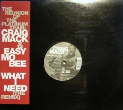 画像1: CRAIG MACK / WHAT I NEED (THE REMIX)   (¥500)