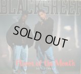 BLACK SHEEP / FLAVOR OF THE MONTH  (¥500)
