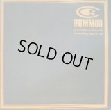 COMMON / RESPECT FOR LIFE   (¥500)