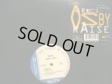 GREG OSBY Feat. CL SMOOTH / RAISE 