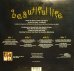 画像2: ACE OF BASE / BEAUTIFUL LIFE (12"× 2) (2)