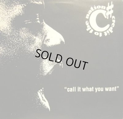 画像1: CREDIT TO THE NATION / CALL IT WHAT YOU WANT  (UK)