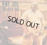 FAT JOE / SUCCESS  (¥500)