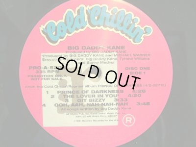 画像3: BIG DADDY KANE / PRINCE OF DARKNESS (US-PROMO 2LP)