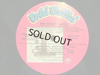 画像4: BIG DADDY KANE / PRINCE OF DARKNESS (US-PROMO 2LP)