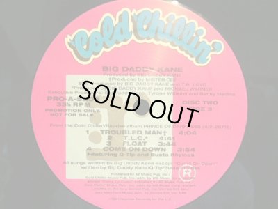 画像5: BIG DADDY KANE / PRINCE OF DARKNESS (US-PROMO 2LP)