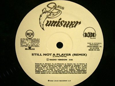 画像1: BIG PUNISHER / STILL NOT A PLAYER (REMIX) (US-PROMO)