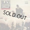 BLACK SHEEP / A WOLF IN SHEEP’S CLOTHING  (US-LP)
