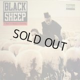 BLACK SHEEP / A WOLF IN SHEEP’S CLOTHING  (US-LP)