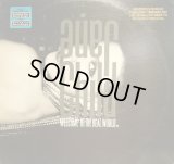 JANE CHILD / WELCOME TO THE REAL WORLD  (¥500)