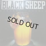 BLACK SHEEP / STROBELITE HONEY  (¥500)