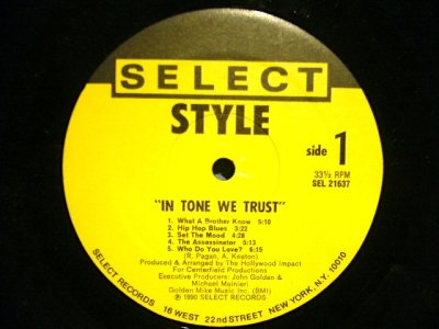 画像3: STYLE / IN TONE WE TRUST  (LP)