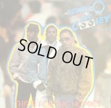 RODNEY O JOE COOLEY / THIS IS FOR THE HOMIES (REMIX)