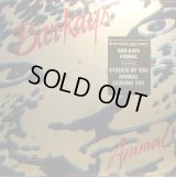 BAR-KAYS / ANIMAL (LP)  (¥500)