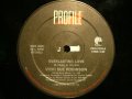 VICKI SUE ROBINSON / EVERLASTING LOVE