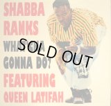 SHABBA RANKS / WHAT'CHA GONNA DO? (FEATURRING QUEEN LATIFAH) 