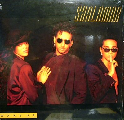 画像1: SHALAMAR / WAKE UP  (LP)