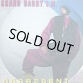 GRAND DADDY I.U. / REPRESENT  (¥1000)