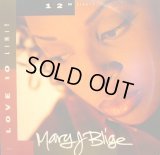 MARY J. BLIGE / LOVE NO LIMIT  (¥500)