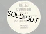 COMMON / HEAT / THE LIGHT  (INSTRUMENTAL)