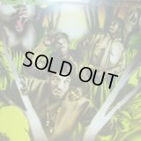 JUNGLE BROTHERS / STRAIGHT OUT THE JUNGLE (US-LP)  (¥1000)