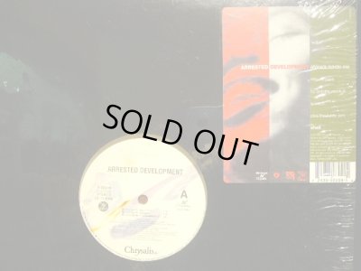 画像1: ARRESTED DEVELOPMENT / AFRICA’S INSIDE ME   (¥500)