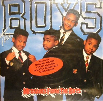 画像1: THE BOYS / MESSAGES FROM THE BOYS (LP)