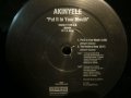 AKINYELE / PUT IT IN YOUR MOUTH (EP)   (¥500)