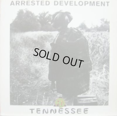 画像1: ARRESTED DEVELOPMENT / TENNESSEE   (¥1000)