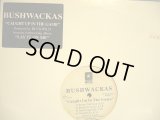 BUSHWACKAS / CAUGHT UP IN THE GAME (US-PROMO)