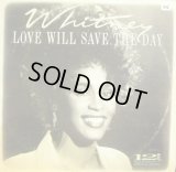 WHITNEY HOUSTON / LOVE WILL SAVE THE DAY