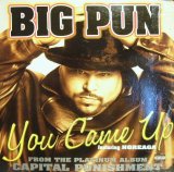 BIG PUNISHER / YOU CAME UP