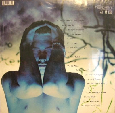 画像2: EMINEM / THE SLIM SHADY LP  (US-2LP)