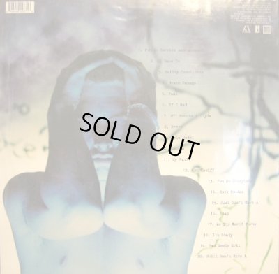 画像2: EMINEM / THE SLIM SHADY LP  (US-2LP)