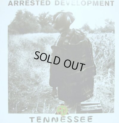 画像1: ARRESTED DEVELOPMENT / TENNESSEE  (GEMA)