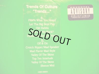 画像2: TRENDS OF CULTURE / TRENDZ… (US PROMO-LP)